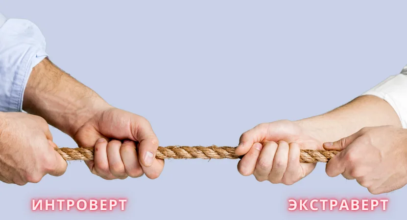 Учет индивидуальных особенностей команды